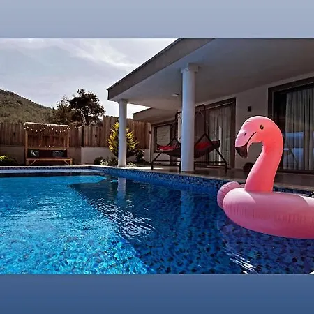 Flamingo Kaş