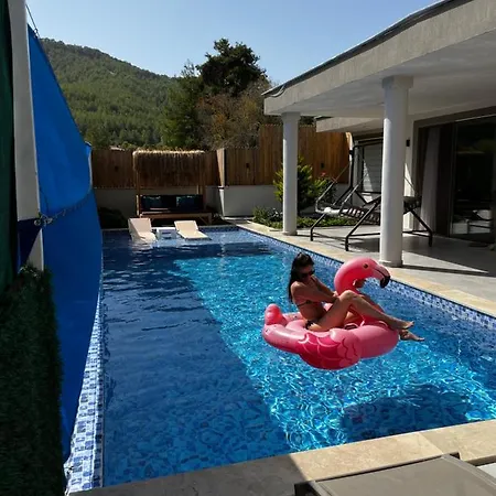 Flamingo Κας