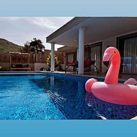Βίλα Flamingo